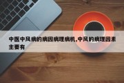 中医中风病的病因病理病机,中风的病理因素主要有