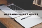病因病理学指什么指标呢图片,病理学因素