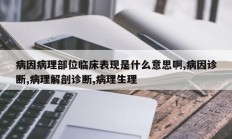 病因病理部位临床表现是什么意思啊,病因诊断,病理解剖诊断,病理生理
