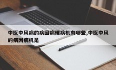 中医中风病的病因病理病机有哪些,中医中风的病因病机是