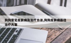 狗狗常见皮肤病及治疗方法,狗狗皮肤病最佳治疗方案