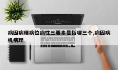 病因病理病位病性三要素是指哪三个,病因病机病理
