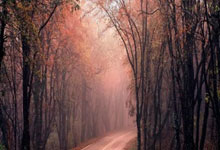 肾结石治疗方法有几种,肾结石治疗方法有几种图片